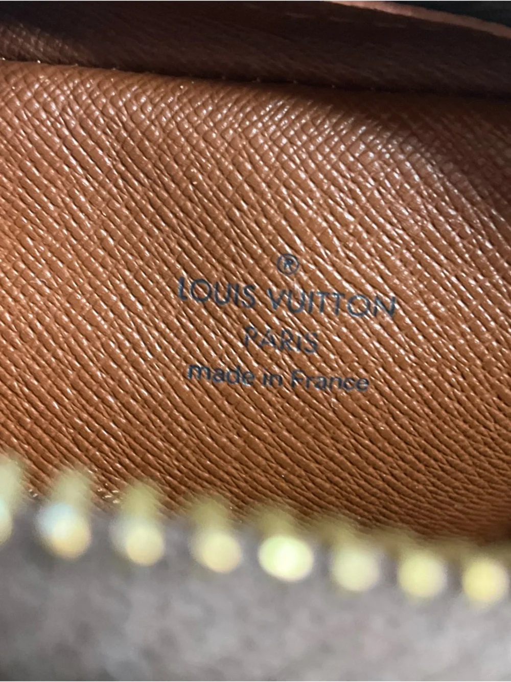 Louis Vuitton Monogram Amazon Shoulder Bag - Picture 14 of 16